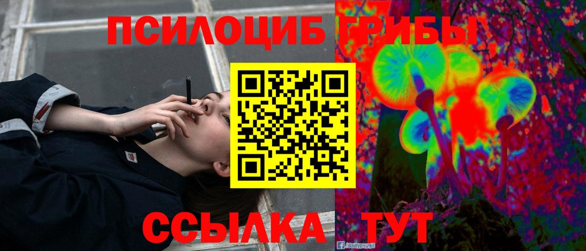 наркотики  Вход с VPN  Красногорск  Галлюциногенные грибы мицелий 